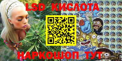 стафф Кулебаки