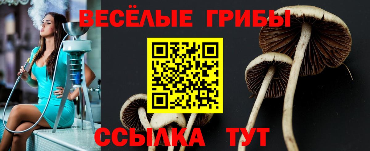 Псилоцибиновые грибы Cubensis  Галлюциногенные грибы ЛСД  Чернушка  Вход с VPN 