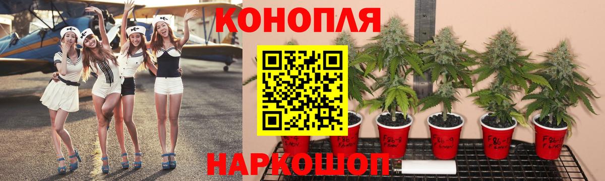 Канабис White Widow Чернушка